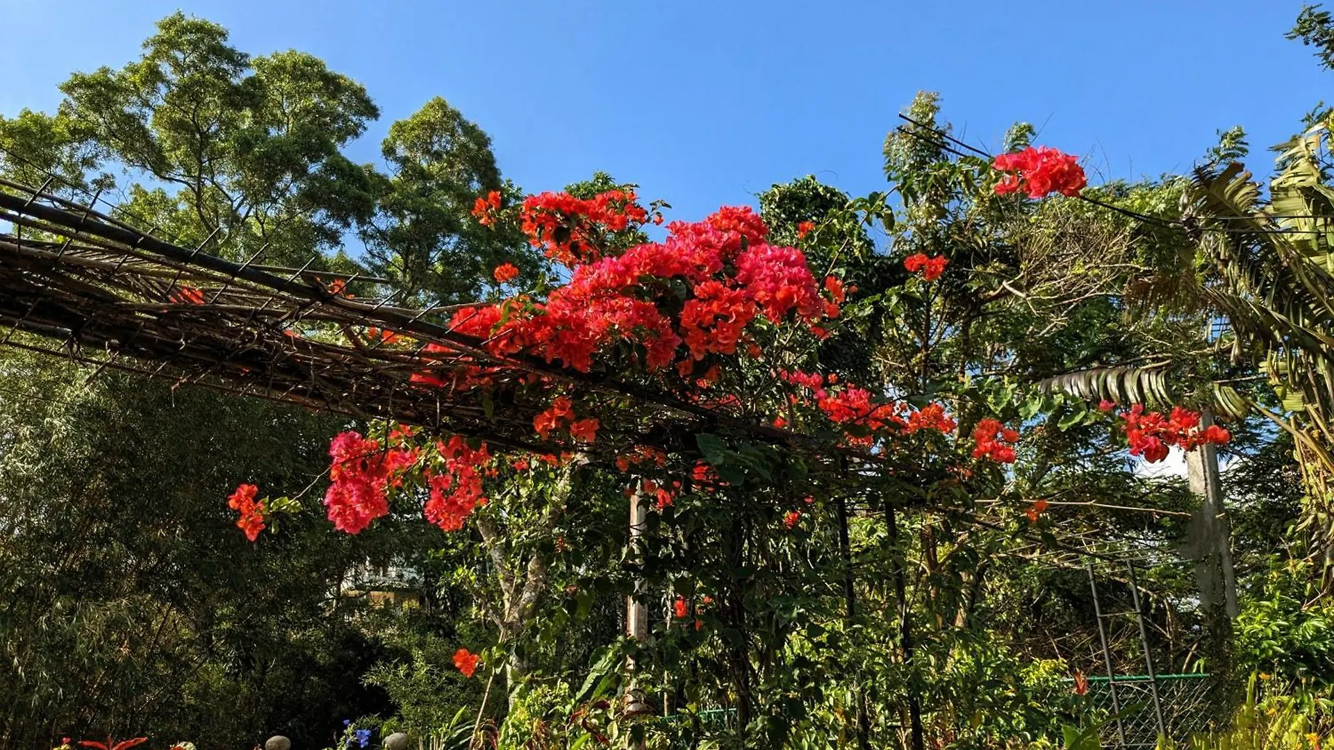 Guest house Namadi Heights Bungalow Kandy