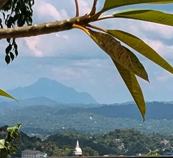 Guest house Namadi Heights Bungalow Kandy Sri Lanka
