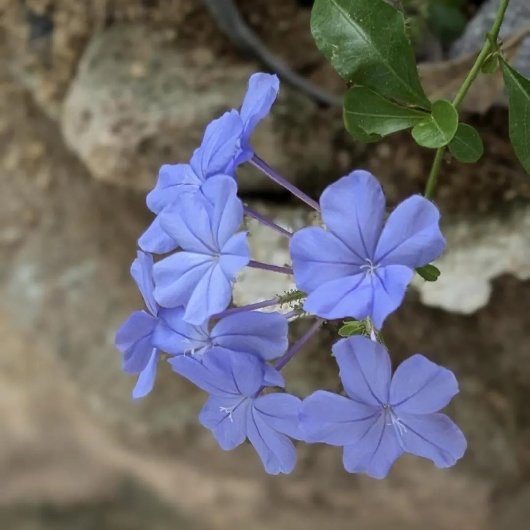 קנדי Namadi Heights Bungalow